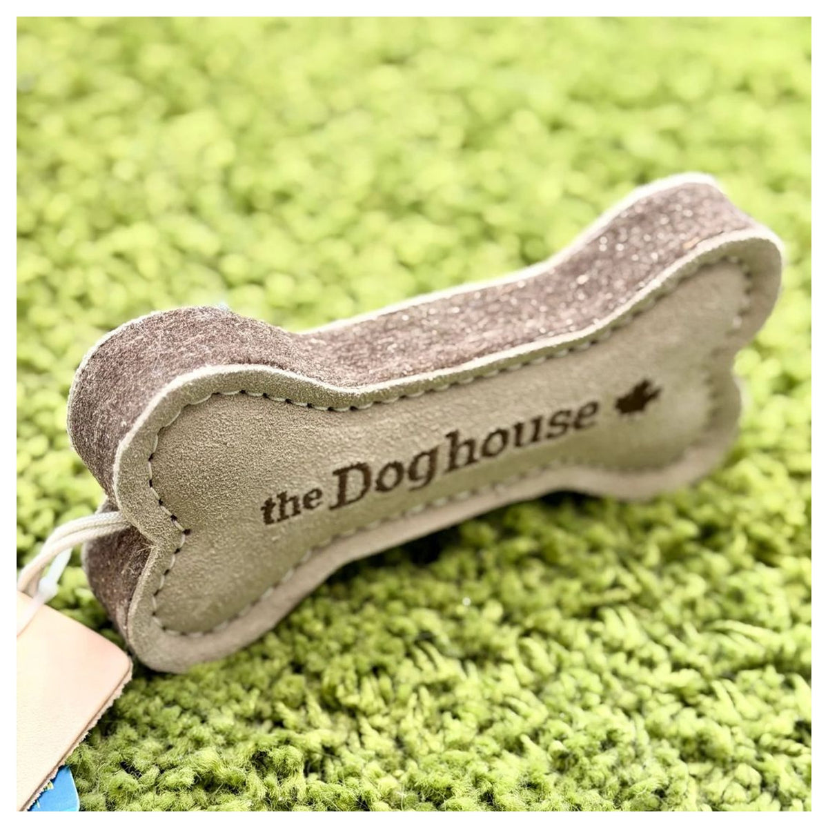 Rocky Mountain Dog Dog Bone Toy 戶外狗狗用品｜加拿大直送 產品細節圖 2