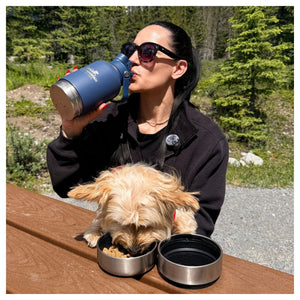 Rocky Mountain Dog Portable Travel 水樽 and Feeder Bowls｜加拿大直送 產品細節圖 6