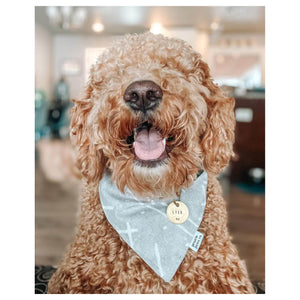 Tag4MyPet Custom Engraved Dog Tags｜寵物刻字名牌｜加拿大直送 產品細節圖 6