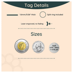 Tag4MyPet Custom Cat Tags Engraved - Pet ID Tag｜寵物刻字名牌｜加拿大直送-貓-毛孩物語Pets Thing｜香港寵物貓狗用品專門店：IATA寵物飛機籠、寵物手推車、貓爬架貓樹