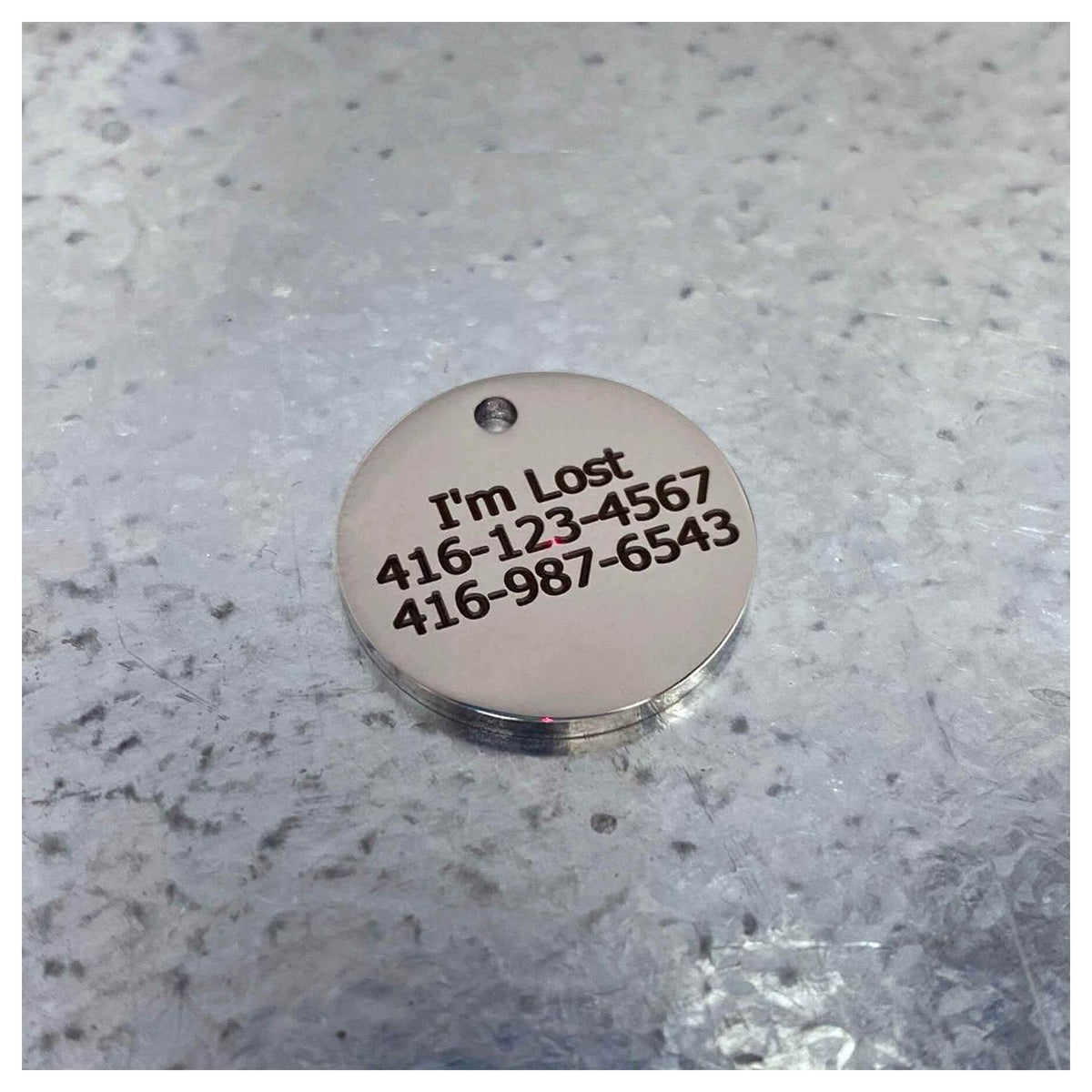 Tag4MyPet Custom Cat Tags Engraved - Pet ID Tag｜寵物刻字名牌｜加拿大直送-貓-毛孩物語Pets Thing｜香港寵物貓狗用品專門店：IATA寵物飛機籠、寵物手推車、貓爬架貓樹