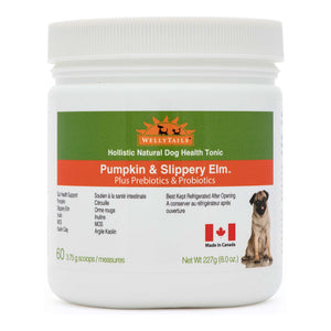 WellyTails Pumpkin & Slippery Elm with GUT Probiotics & Prebiotics｜狗狗營養補充品｜加拿大直送-寵物補充品-毛孩物語Pets Thing｜香港寵物貓狗用品專門店：IATA寵物飛機籠、寵物手推車、貓爬架貓樹