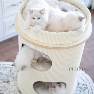 Purring 182536 多層實木貓桶貓爬架（D40／D50／D60・74–139cm） 商品圖片 7