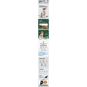 VITALWAVE Gradient Peaks 漸變山海寵物頸圈-寵物頸圈-毛孩物語Pets Thing｜香港寵物貓狗用品專門店：IATA寵物飛機籠、寵物手推車、貓爬架貓樹