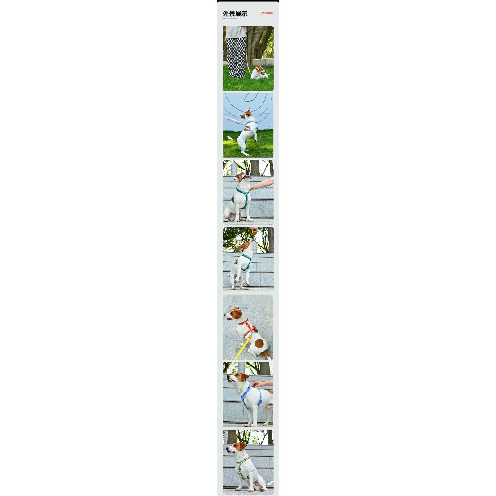 VITALWAVE Gradient Peaks 漸變山海寵物頸圈-寵物頸圈-毛孩物語Pets Thing｜香港寵物貓狗用品專門店：IATA寵物飛機籠、寵物手推車、貓爬架貓樹