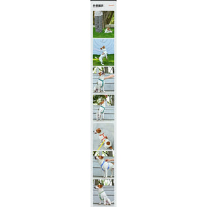 VITALWAVE Gradient Peaks 漸變山海寵物頸圈-寵物頸圈-毛孩物語Pets Thing｜香港寵物貓狗用品專門店：IATA寵物飛機籠、寵物手推車、貓爬架貓樹