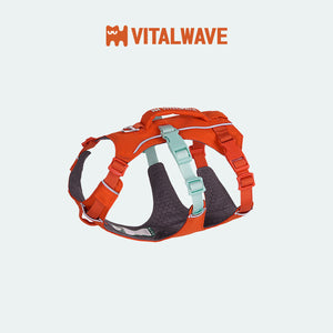 VITALWAVE FeatherGrip 幻彩提手三爪寵物胸背帶-寵物胸背帶-毛孩物語Pets Thing｜香港寵物貓狗用品專門店：IATA寵物飛機籠、寵物手推車、貓爬架貓樹