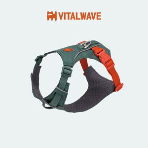 VITALWAVE FeatherGlow 煥彩羽感兩爪寵物胸背帶-寵物胸背帶-毛孩物語Pets Thing｜香港寵物貓狗用品專門店：IATA寵物飛機籠、寵物手推車、貓爬架貓樹