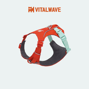 VITALWAVE FeatherGlow 煥彩羽感兩爪寵物胸背帶-寵物胸背帶-毛孩物語Pets Thing｜香港寵物貓狗用品專門店：IATA寵物飛機籠、寵物手推車、貓爬架貓樹
