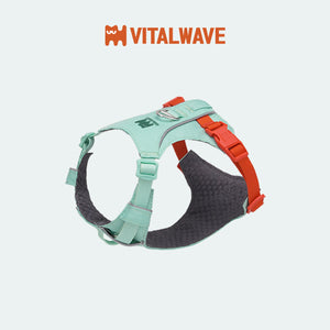 VITALWAVE FeatherGlow 煥彩羽感兩爪寵物胸背帶-寵物胸背帶-毛孩物語Pets Thing｜香港寵物貓狗用品專門店：IATA寵物飛機籠、寵物手推車、貓爬架貓樹