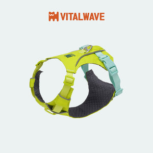 VITALWAVE FeatherGlow 煥彩羽感兩爪寵物胸背帶-寵物胸背帶-毛孩物語Pets Thing｜香港寵物貓狗用品專門店：IATA寵物飛機籠、寵物手推車、貓爬架貓樹