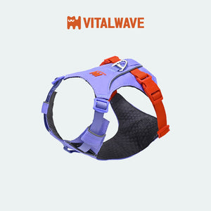 VITALWAVE FeatherGlow 煥彩羽感兩爪寵物胸背帶-寵物胸背帶-毛孩物語Pets Thing｜香港寵物貓狗用品專門店：IATA寵物飛機籠、寵物手推車、貓爬架貓樹