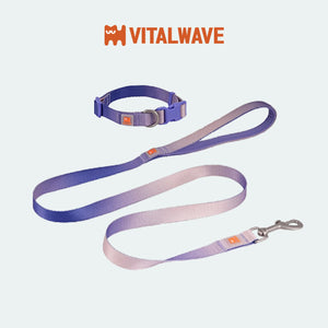 VITALWAVE Dreamfade 夢幻漸變寵物頸圈牽引繩套裝-寵物頸圈牽引套裝-毛孩物語Pets Thing｜香港寵物貓狗用品專門店：IATA寵物飛機籠、寵物手推車、貓爬架貓樹