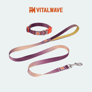 VITALWAVE Dreamfade 夢幻漸變寵物頸圈牽引繩套裝-寵物頸圈牽引套裝-毛孩物語Pets Thing｜香港寵物貓狗用品專門店：IATA寵物飛機籠、寵物手推車、貓爬架貓樹