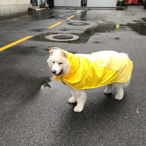 WOOFO狗狗防水雨衣衝鋒冒險狗狗雨衣狗雨褸 (黃色)-狗-毛孩物語Pets Thing｜香港寵物貓狗用品專門店：IATA寵物飛機籠、寵物手推車、貓爬架貓樹