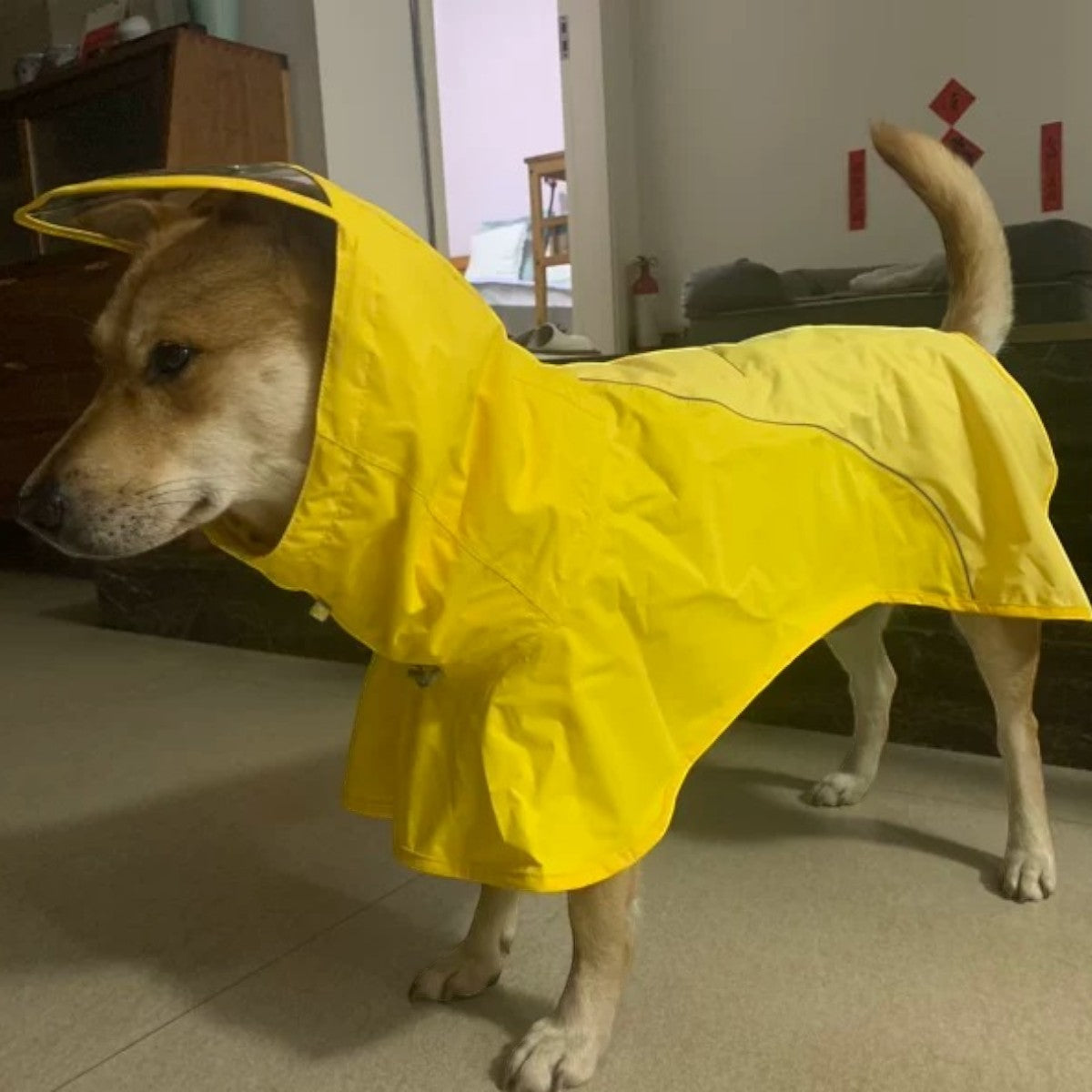 WOOFO狗狗防水雨衣衝鋒冒險狗狗雨衣狗雨褸 (黃色)-狗-毛孩物語Pets Thing｜香港寵物貓狗用品專門店：IATA寵物飛機籠、寵物手推車、貓爬架貓樹