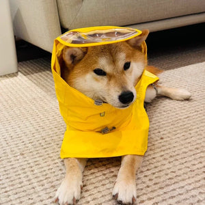 WOOFO狗狗防水雨衣衝鋒冒險狗狗雨衣狗雨褸 (灰色)-狗-毛孩物語Pets Thing｜香港寵物貓狗用品專門店：IATA寵物飛機籠、寵物手推車、貓爬架貓樹