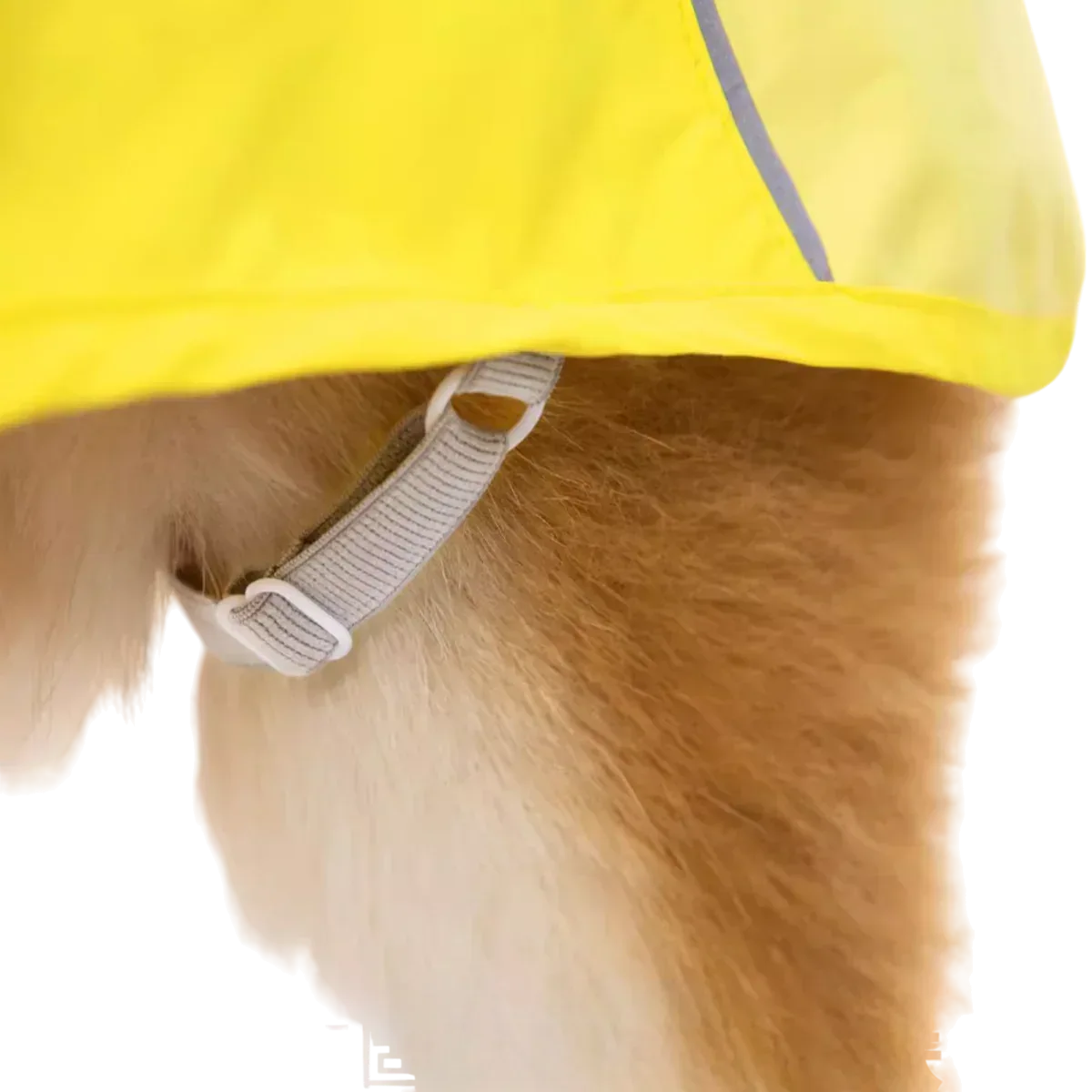 WOOFO狗狗防水雨衣衝鋒冒險狗狗雨衣狗雨褸 (灰色)-狗-毛孩物語Pets Thing｜香港寵物貓狗用品專門店：IATA寵物飛機籠、寵物手推車、貓爬架貓樹
