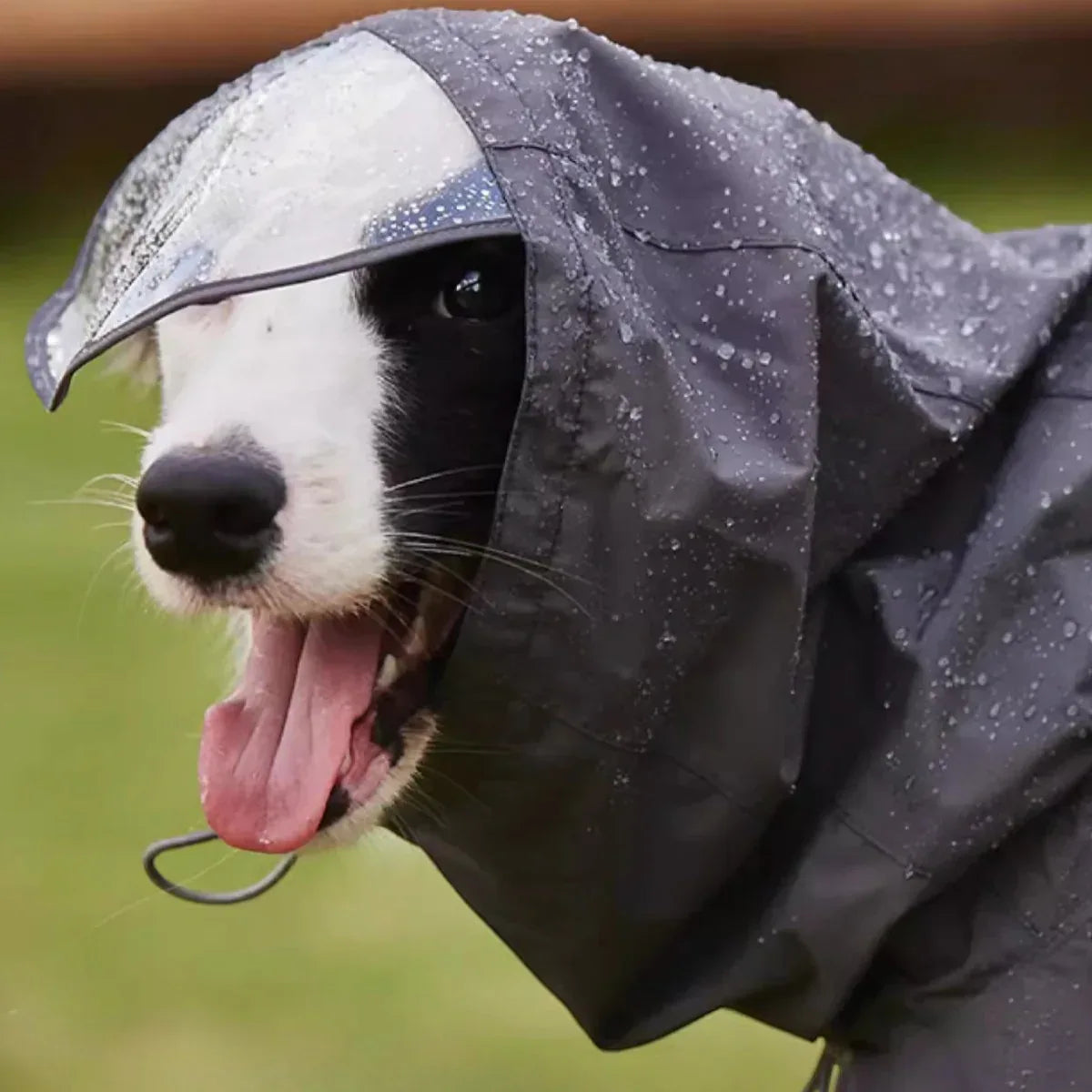 WOOFO狗狗防水雨衣衝鋒冒險狗狗雨衣狗雨褸 (灰色)-狗-毛孩物語Pets Thing｜香港寵物貓狗用品專門店：IATA寵物飛機籠、寵物手推車、貓爬架貓樹