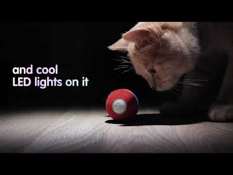 Cheerble Ball M1 毛絨版逗猫電動智能寵物玩具訓練球-貓狗-毛孩物語Pets Thing｜香港寵物貓狗用品專門店：IATA寵物飛機籠、寵物手推車、貓爬架貓樹