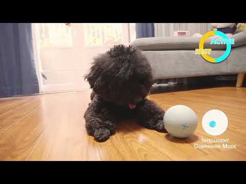 Cheerble Wicked Ball 螺旋型電動智能寵物訓練玩具球-貓狗-毛孩物語Pets Thing｜香港寵物貓狗用品專門店：IATA寵物飛機籠、寵物手推車、貓爬架貓樹