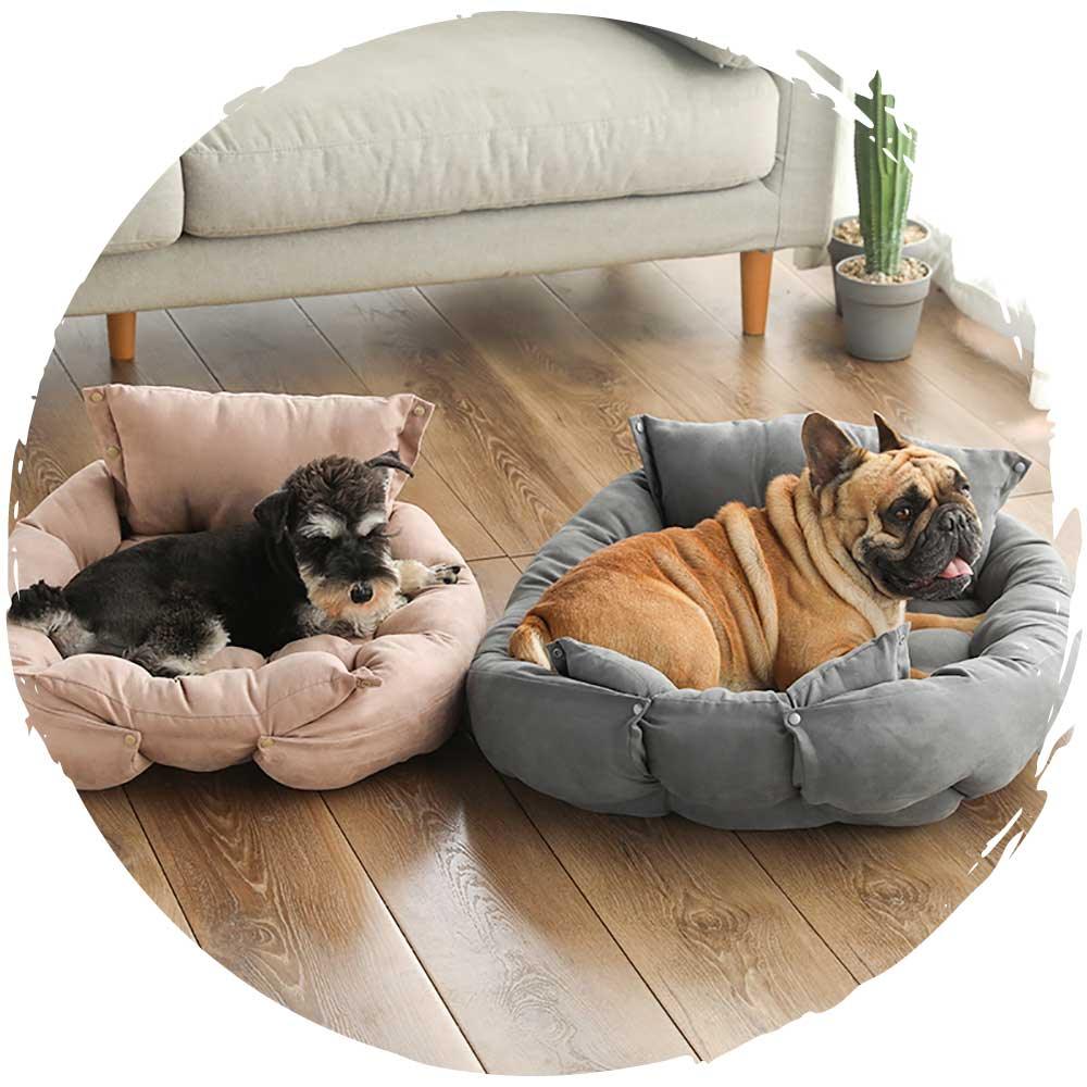 🛋️加厚可變形軟墊狗狗梳化睡窩(青草綠)-狗-毛孩物語Pets Thing｜香港寵物貓狗用品專門店：IATA寵物飛機籠、寵物手推車、貓爬架貓樹