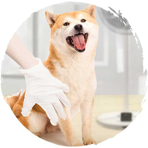 🧤KOJIMA寵物貓狗抗菌5指手套濕紙巾(6塊)-貓狗-毛孩物語Pets Thing｜香港寵物貓狗用品專門店：IATA寵物飛機籠、寵物手推車、貓爬架貓樹