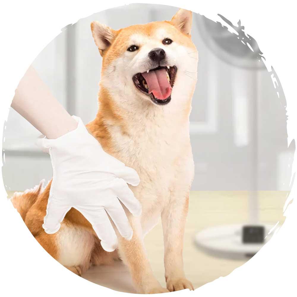 🧤KOJIMA寵物貓狗抗菌5指手套濕紙巾(6塊)-貓狗-毛孩物語Pets Thing｜香港寵物貓狗用品專門店：IATA寵物飛機籠、寵物手推車、貓爬架貓樹
