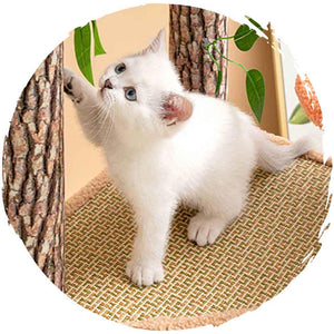 靜謐森林仿樹劍麻😸貓抓柱磨爪貓爬架(森林屋)-貓-毛孩物語Pets Thing｜香港寵物貓狗用品專門店：IATA寵物飛機籠、寵物手推車、貓爬架貓樹