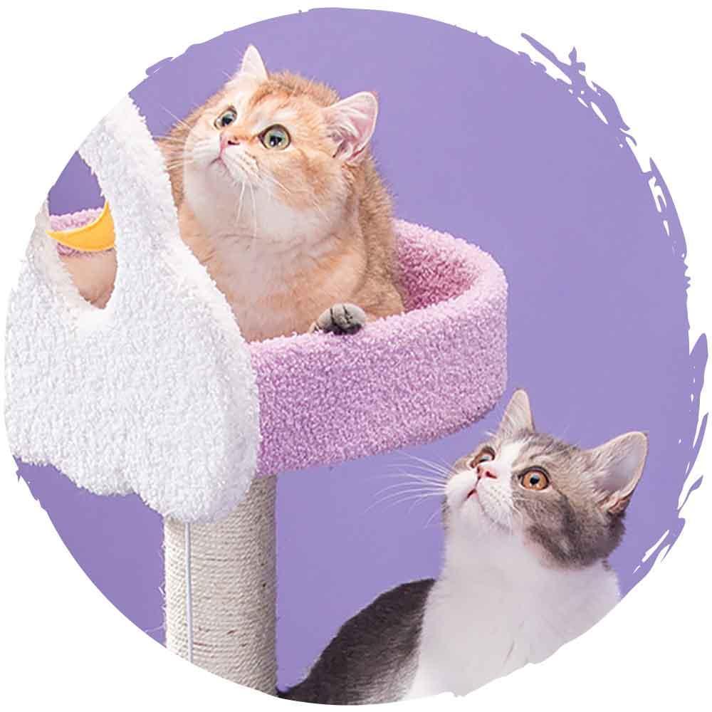🌙夢幻星雲升級貓樹實木抓柱🐱貓爬架跳台(6層款｜170cm)-貓-毛孩物語Pets Thing｜香港寵物貓狗用品專門店：IATA寵物飛機籠、寵物手推車、貓爬架貓樹