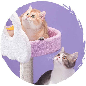 🌙夢幻星雲升級貓樹實木抓柱🐱貓爬架跳台(6層款｜170cm)-貓-毛孩物語Pets Thing｜香港寵物貓狗用品專門店：IATA寵物飛機籠、寵物手推車、貓爬架貓樹