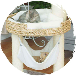 手工蒲草編織環保貓爬架貓樹 (115cm半球窩款)-貓-毛孩物語Pets Thing｜香港寵物貓狗用品專門店：IATA寵物飛機籠、寵物手推車、貓爬架貓樹