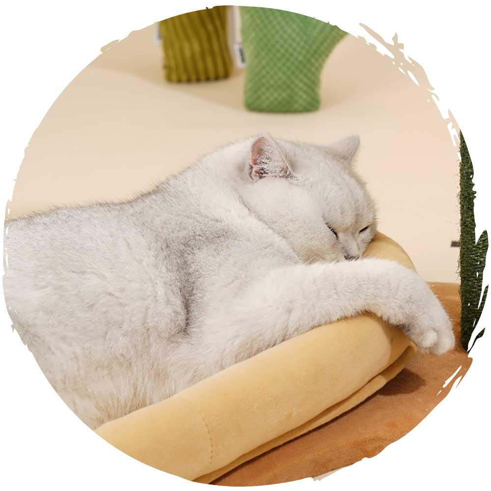 zeze仙人掌麻抓柱兩用貓窩-貓-毛孩物語Pets Thing｜香港寵物貓狗用品專門店：IATA寵物飛機籠、寵物手推車、貓爬架貓樹