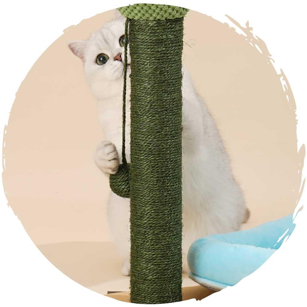 zeze仙人掌麻抓柱兩用貓窩-貓-毛孩物語Pets Thing｜香港寵物貓狗用品專門店：IATA寵物飛機籠、寵物手推車、貓爬架貓樹