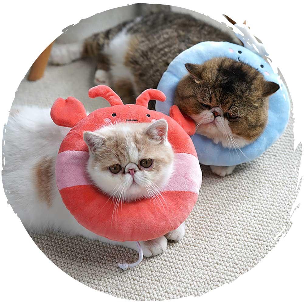 🐱貓貓可愛柔軟頸圈(小青蛙)-貓-毛孩物語Pets Thing｜香港寵物貓狗用品專門店：IATA寵物飛機籠、寵物手推車、貓爬架貓樹