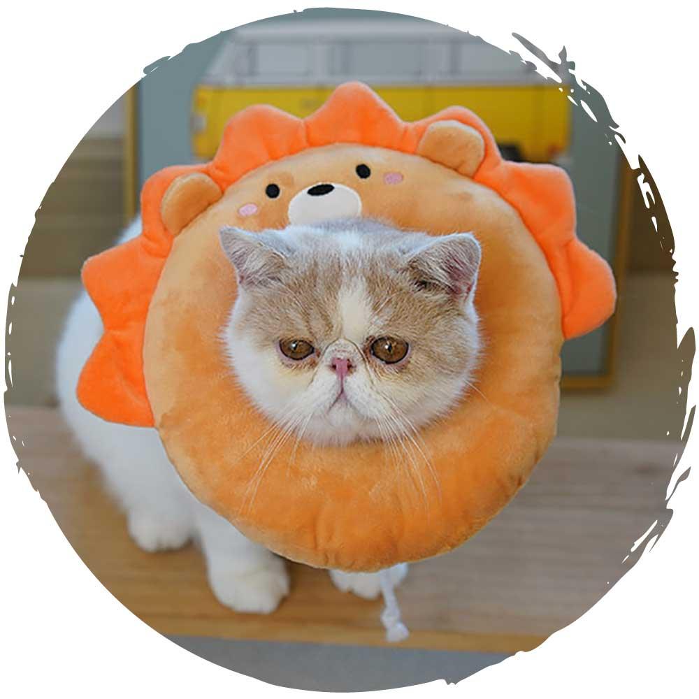 🐱貓貓可愛柔軟頸圈(卡通鯨魚)-貓-毛孩物語Pets Thing｜香港寵物貓狗用品專門店：IATA寵物飛機籠、寵物手推車、貓爬架貓樹