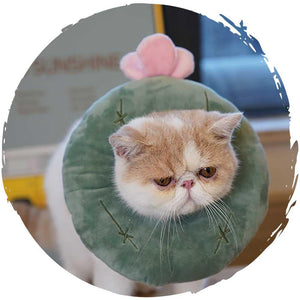 🐱貓貓可愛柔軟頸圈(卡通鯨魚)-貓-毛孩物語Pets Thing｜香港寵物貓狗用品專門店：IATA寵物飛機籠、寵物手推車、貓爬架貓樹