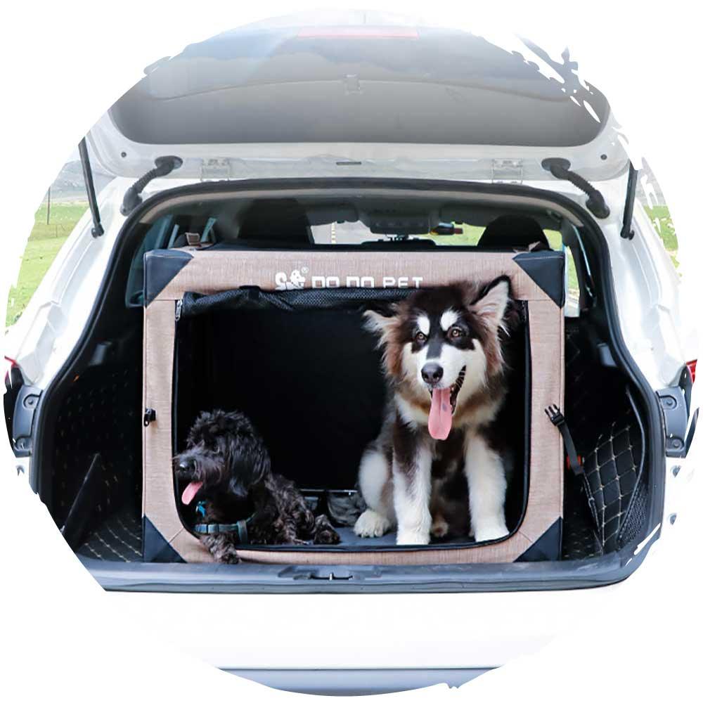 DODOPET 一體式金屬鋼可折疊外出透氣寵物籠（適合車載寵物外出）-貓狗-毛孩物語Pets Thing｜香港寵物貓狗用品專門店：IATA寵物飛機籠、寵物手推車、貓爬架貓樹