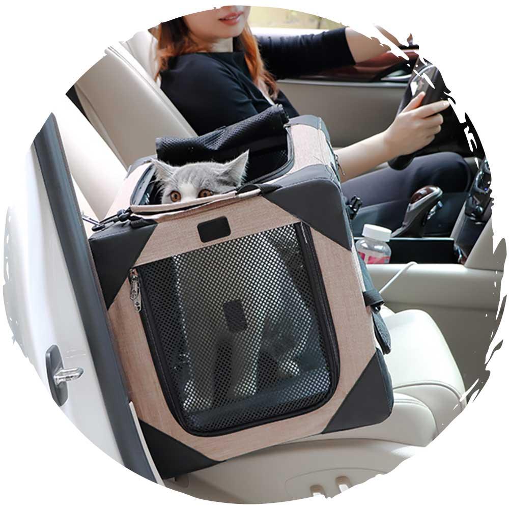 DODOPET 一體式金屬鋼可折疊外出透氣寵物籠（適合車載寵物外出）-貓狗-毛孩物語Pets Thing｜香港寵物貓狗用品專門店：IATA寵物飛機籠、寵物手推車、貓爬架貓樹