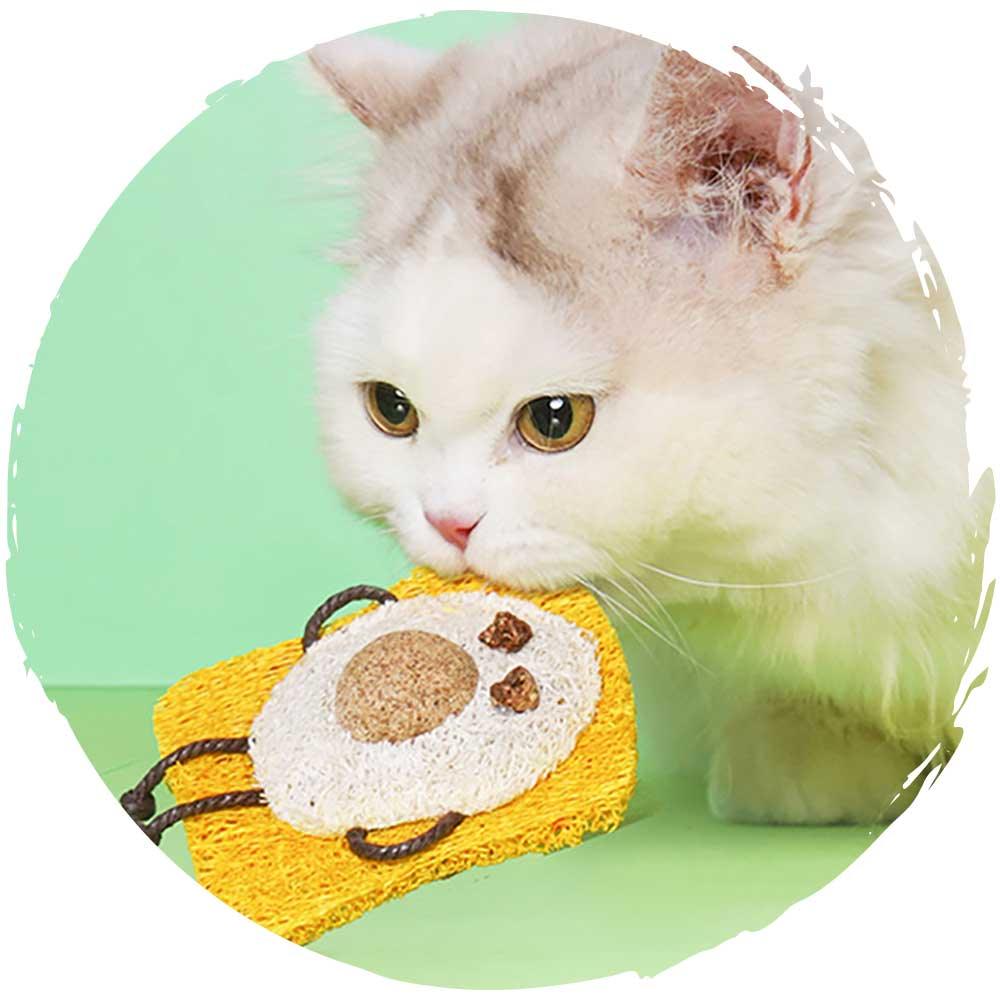 🍞貓貓潔齒貓薄荷玩具(煎蛋多士)-貓-毛孩物語Pets Thing｜香港寵物貓狗用品專門店：IATA寵物飛機籠、寵物手推車、貓爬架貓樹