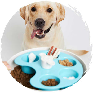 🍽️英國狗狗旋轉防哽慢食碗 (調色盤)-狗-毛孩物語Pets Thing｜香港寵物貓狗用品專門店：IATA寵物飛機籠、寵物手推車、貓爬架貓樹
