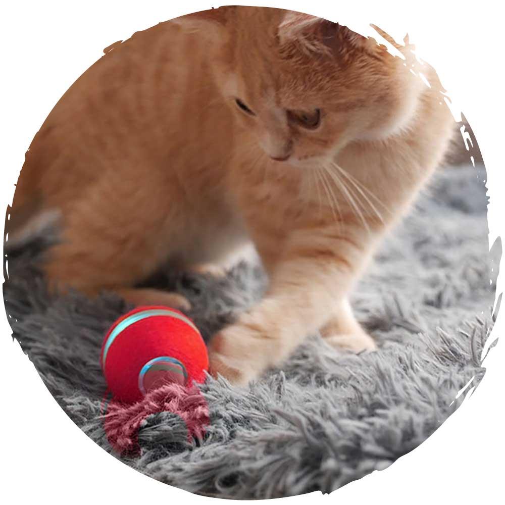 Cheerble Ball M1 毛絨版逗猫電動智能寵物玩具訓練球-貓-毛孩物語Pets Thing｜香港寵物貓狗用品專門店：IATA寵物飛機籠、寵物手推車、貓爬架貓樹