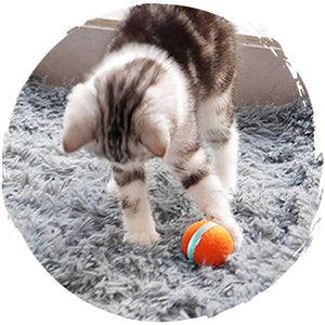 Cheerble Ball M1 毛絨版逗猫電動智能寵物玩具訓練球-貓-毛孩物語Pets Thing｜香港寵物貓狗用品專門店：IATA寵物飛機籠、寵物手推車、貓爬架貓樹