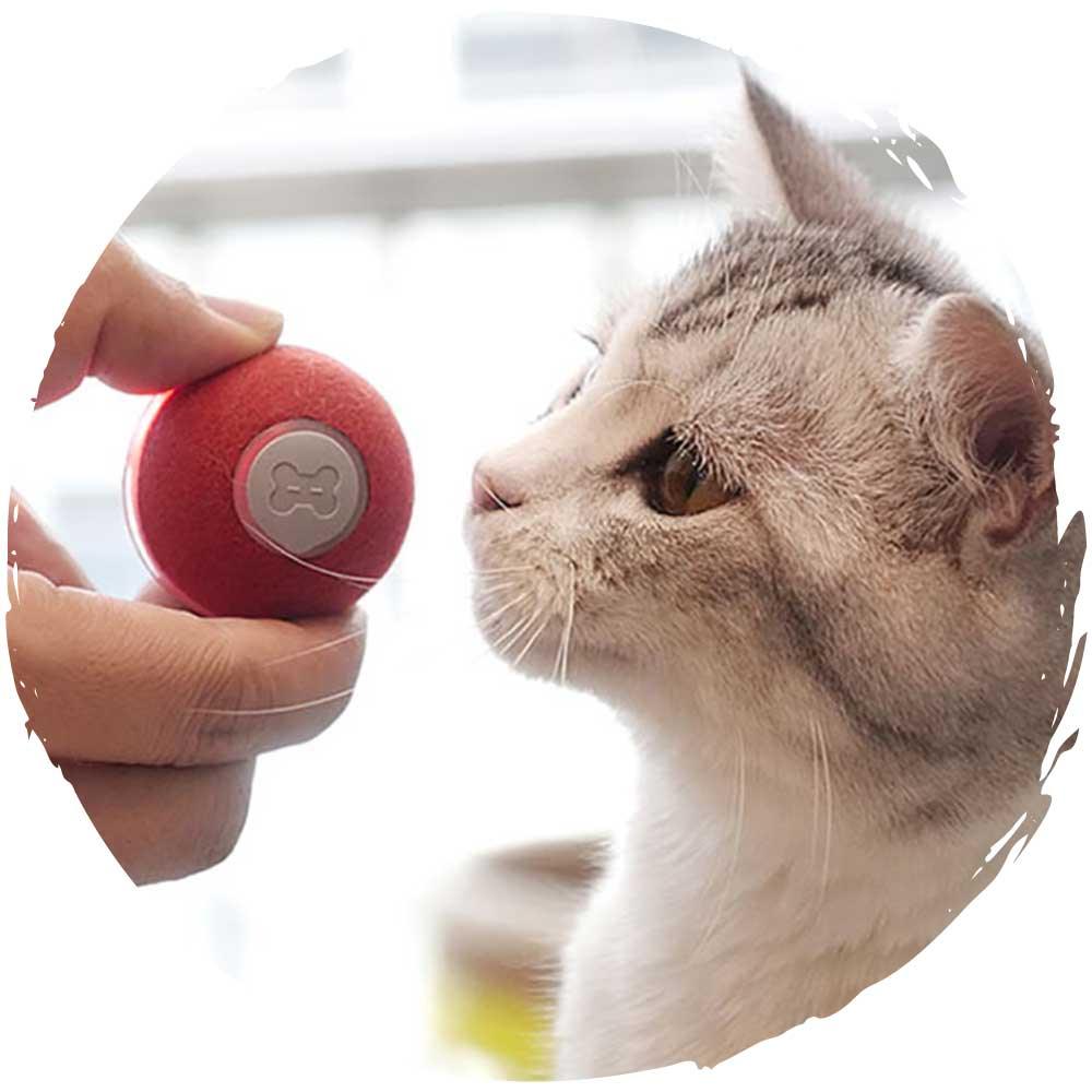 Cheerble Ball M1 毛絨版逗猫電動智能寵物玩具訓練球-貓-毛孩物語Pets Thing｜香港寵物貓狗用品專門店：IATA寵物飛機籠、寵物手推車、貓爬架貓樹