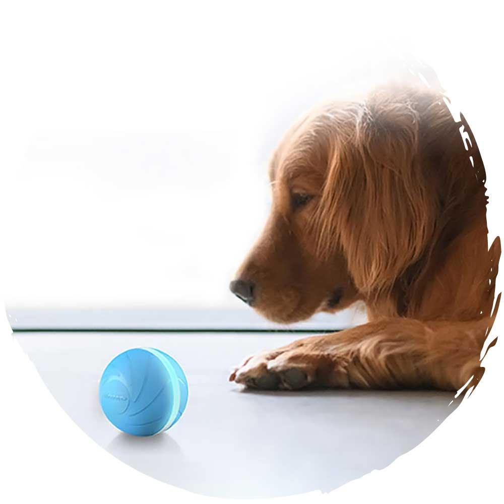 Cheerble Wicked Ball 螺旋型電動智能寵物訓練玩具球-貓狗-毛孩物語Pets Thing｜香港寵物貓狗用品專門店：IATA寵物飛機籠、寵物手推車、貓爬架貓樹