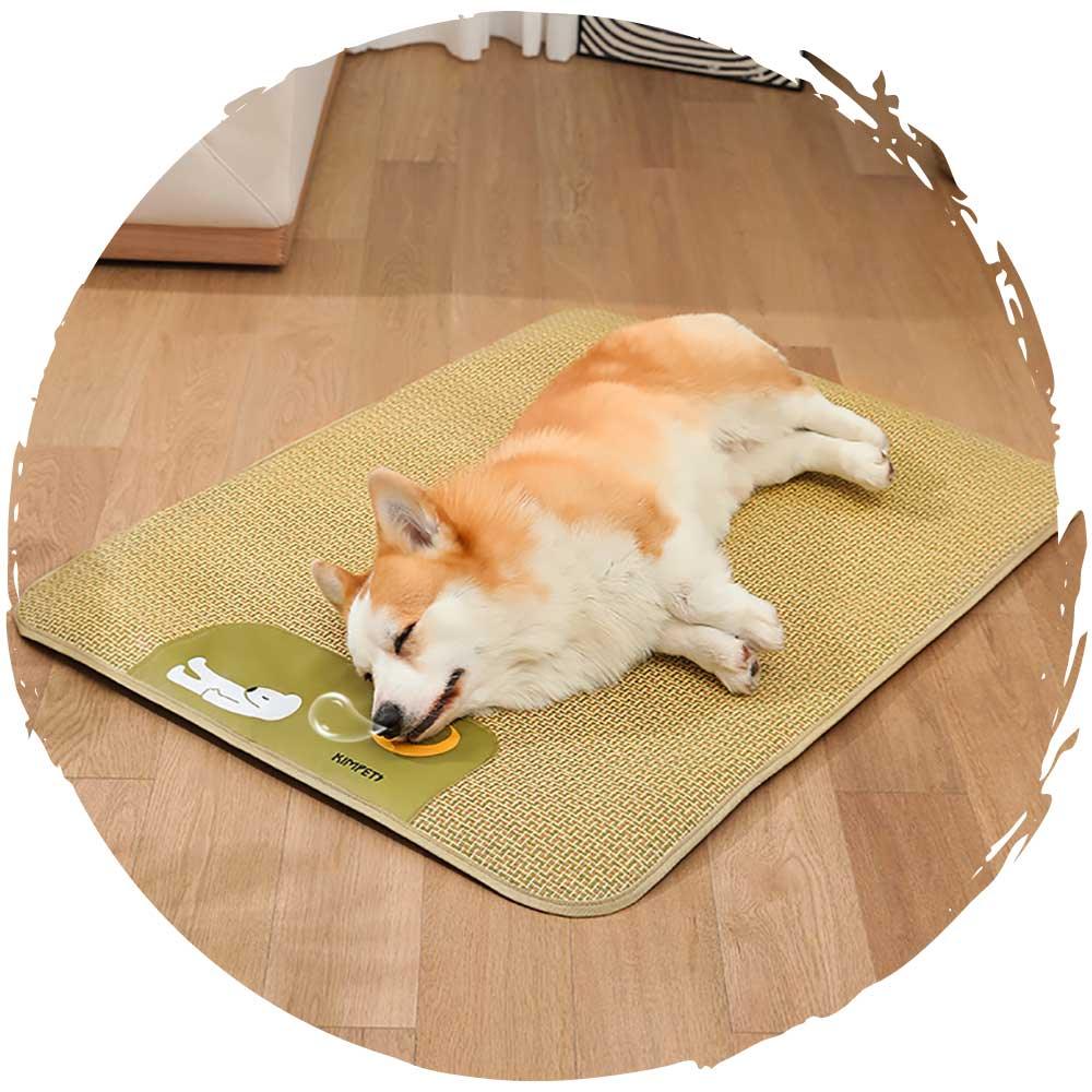 mdeho寵物貓狗降溫夏天消暑散熱涼蓆 (冰河熊仔)-貓狗-毛孩物語Pets Thing｜香港寵物貓狗用品專門店：IATA寵物飛機籠、寵物手推車、貓爬架貓樹