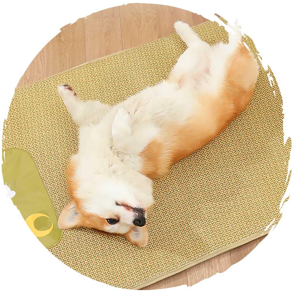 mdeho寵物貓狗降溫夏天消暑散熱涼蓆 (月亮熊仔)-貓狗-毛孩物語Pets Thing｜香港寵物貓狗用品專門店：IATA寵物飛機籠、寵物手推車、貓爬架貓樹