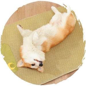 mdeho寵物貓狗降溫夏天消暑散熱涼蓆 (月亮熊仔)-貓狗-毛孩物語Pets Thing｜香港寵物貓狗用品專門店：IATA寵物飛機籠、寵物手推車、貓爬架貓樹
