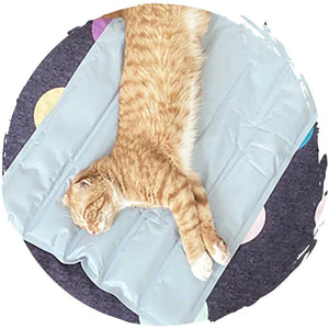POPOCOLA寵物降溫夏季方形冰墊-貓狗-毛孩物語Pets Thing｜香港寵物貓狗用品專門店：IATA寵物飛機籠、寵物手推車、貓爬架貓樹