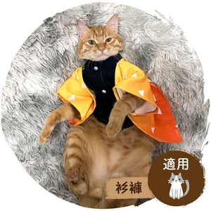 👻鬼滅之刃Cosplay貓貓服飾(我妻善逸)-貓-毛孩物語Pets Thing｜香港寵物貓狗用品專門店：IATA寵物飛機籠、寵物手推車、貓爬架貓樹